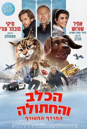 Cat and Dog